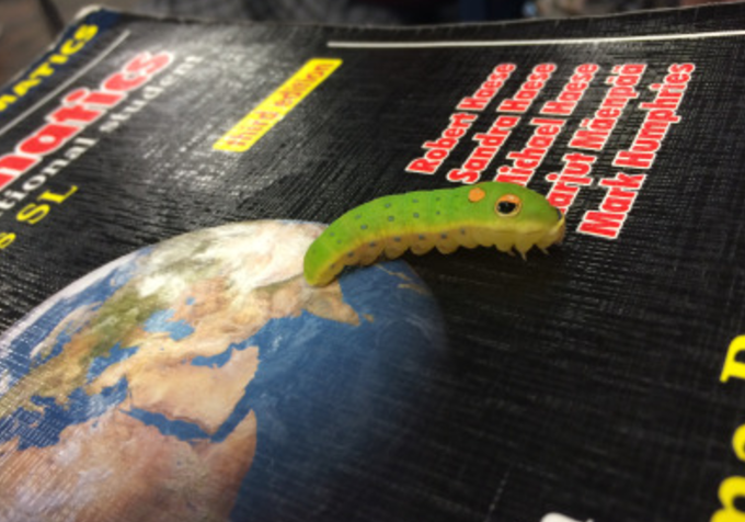 The most popular TV on Tumblr in 2016 included 'Supernatural' and Kylie Jenner