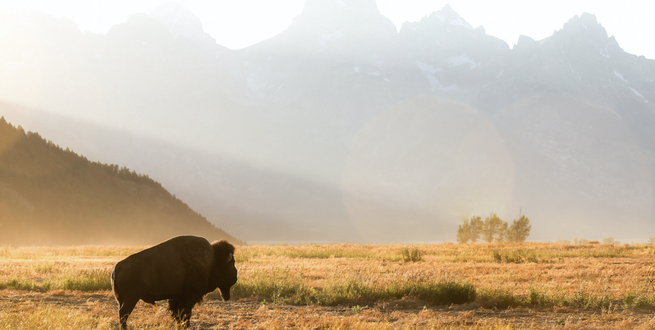Colle+McVoy to promote Jackson Hole and Teton County tourism as agency of record