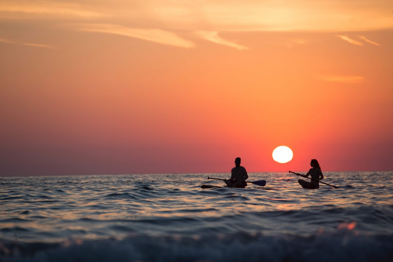 Travel ad spend takes off with predicted 36% growth in 2022 - Vimarsana News
