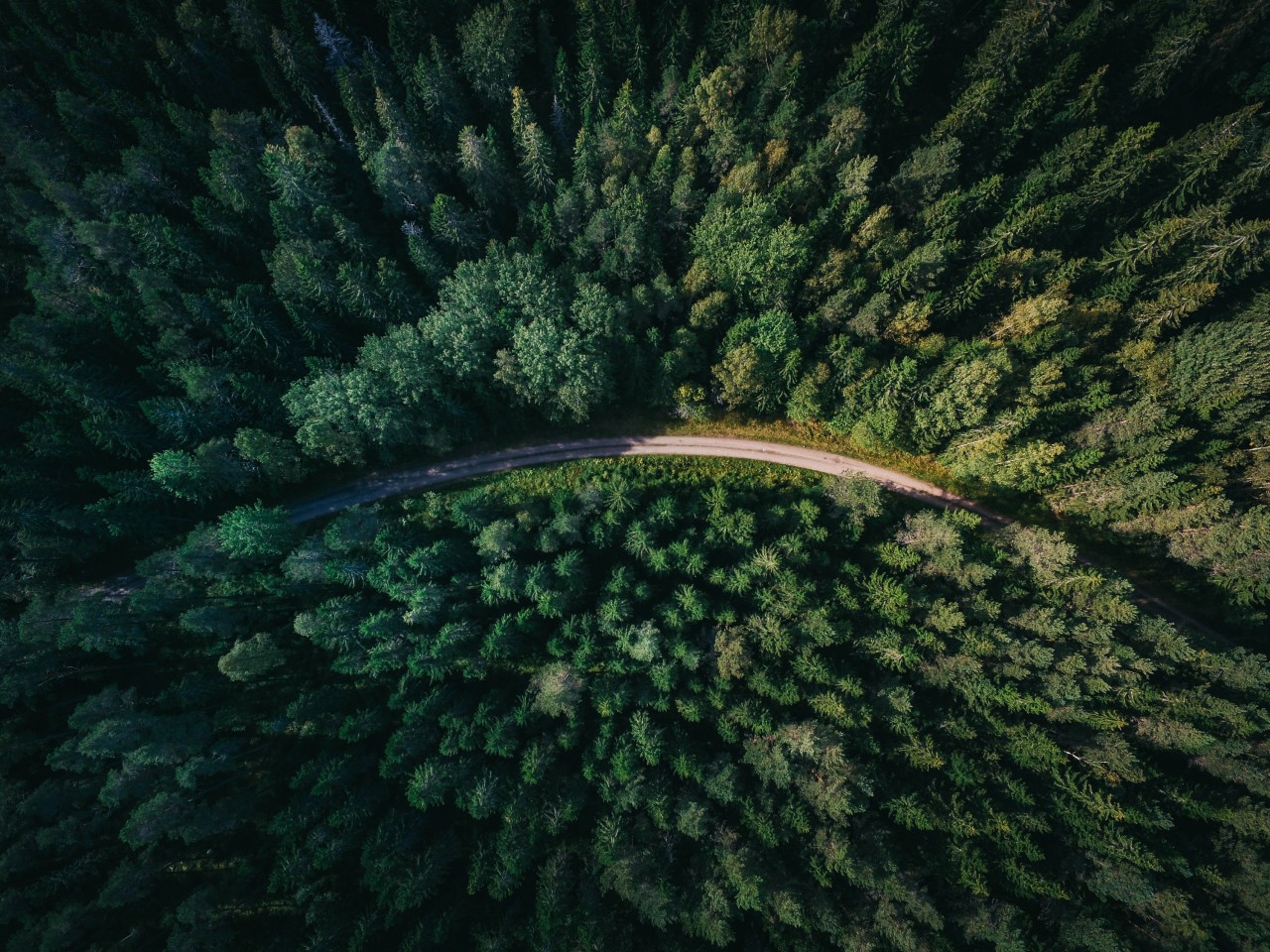 We're not out of the woods yet, so let's invest in our people - Vimarsana News