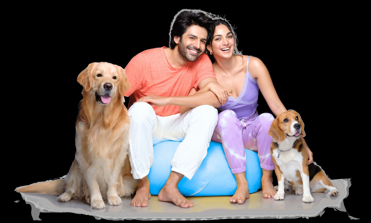 Indian Brand Finolex's Celebrity Playbook Aims To Appeal To Younger Consumers - Vimarsana News